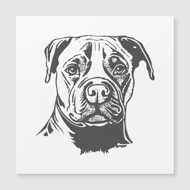 Staffordshire Bull Terrier (Devant)