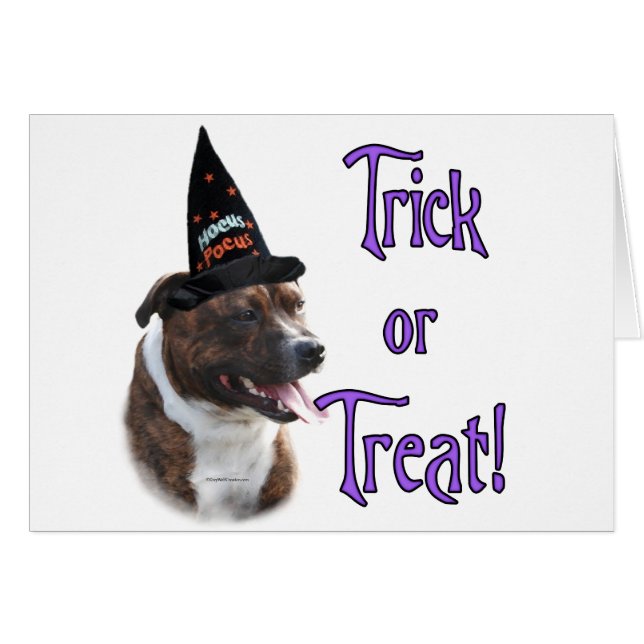 Staffordshire Bull Terrier Trick (Devant horizontal)
