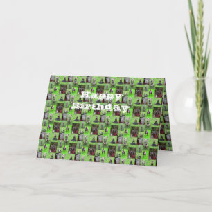 Staffordshire Bull Terriers, carte d'anniversaire