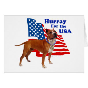 Staffordshire Terrier américain États-Unis