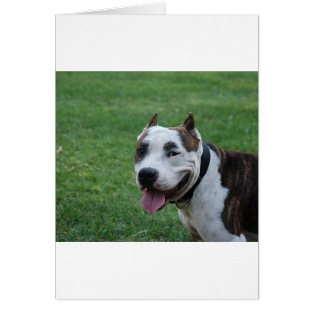 staffy 4.png (Devant)