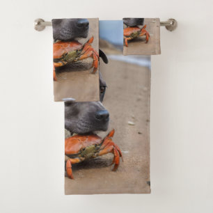 Staffy Est Des Amis Avec Un Crabe De Plage,