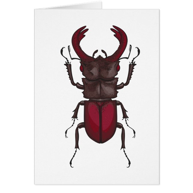 Stag beetle (Devant)