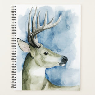 Stag errant - Aquarelle