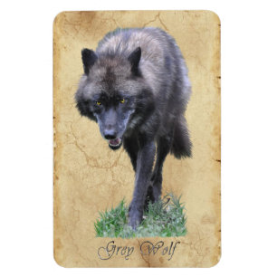 Stalking Grey Wolf Faune Art Flexi Magnet