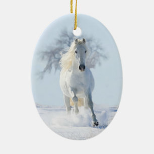 Stallion des neiges blanches et ornement de Noël