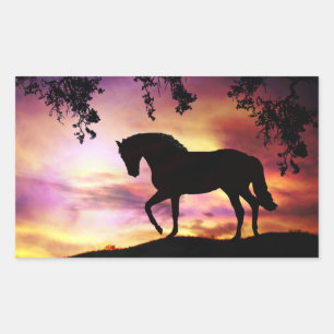 Stallion noir dans les Stickers Coucher de soleil