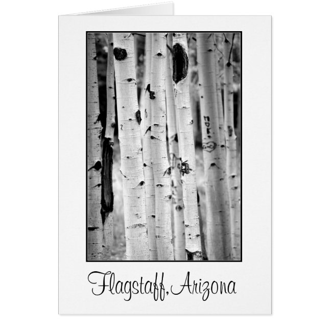 Stand tall Aspen's Flagstaff (Devant)