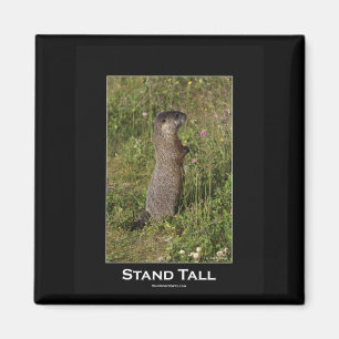 Stand Tall Marmot Magnet
