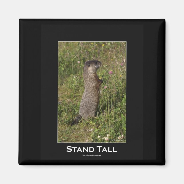 Stand Tall Marmot Magnet (Devant)