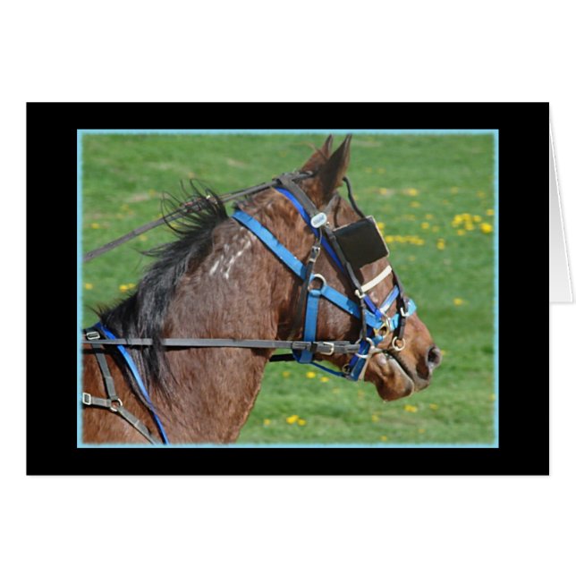 Standard (Devant horizontal)