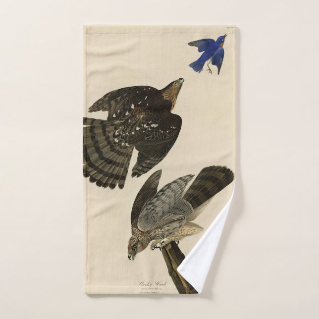 Stanley (Cooper's) Hawk Audubon's Birds of America (Serviette à main)
