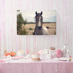 Star The Arab Pony, Bannière d'anniversaire