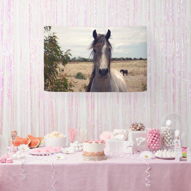 Star The Arab Pony, Bannière d'anniversaire (Fête)