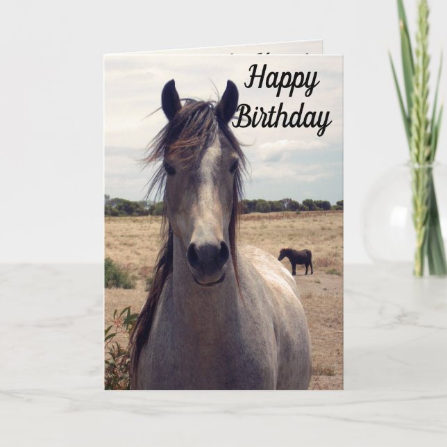 Star The Arab Pony, carte d'anniversaire (Devant)
