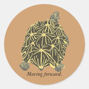 Star Tortoise, peinture sur autocollants d'affirma