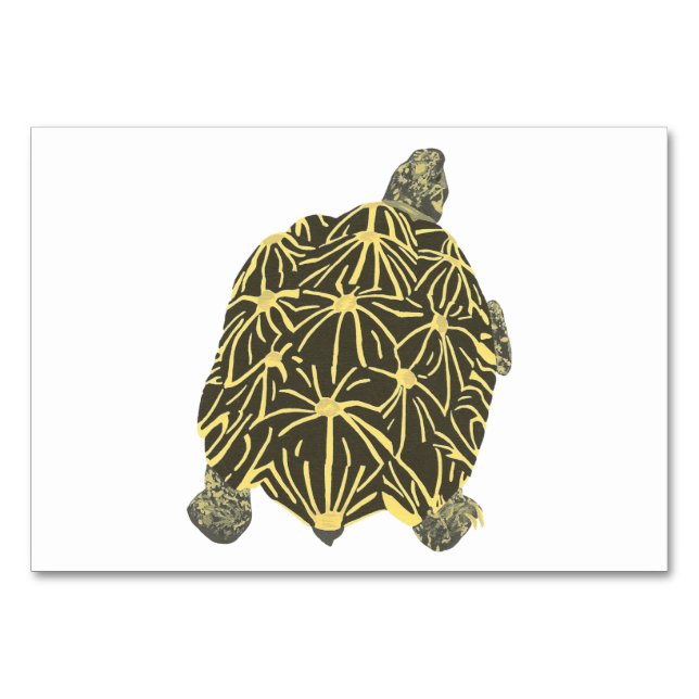 Star Tortoise Turtle Lecture de cartes mémoires po (Devant)