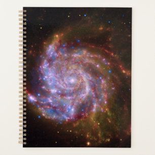 Starbirth in the Pinwheel : Galaxy M101