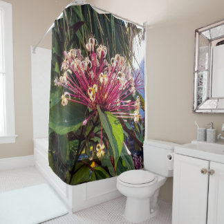 Starburst Clerodendrum Fleurs Douche Rideau