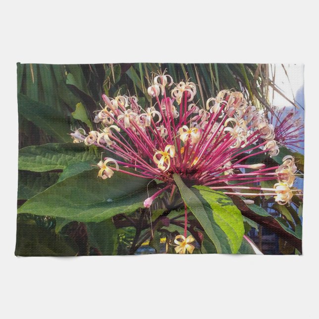 Starburst Clerodendrum Fleurs Serviettes de cuisin (Horizontal)