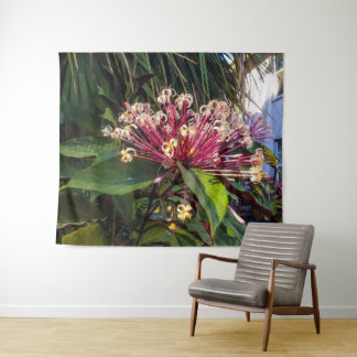Starburst Clerodendrum Fleurs Tapisserie