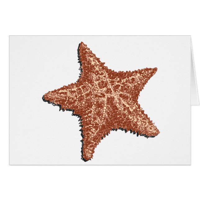 Starfish (Devant horizontal)