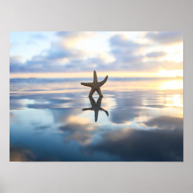 Starfish at the beach photo poster print (Devant)