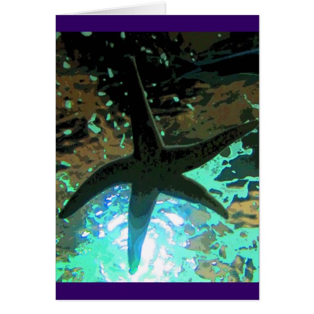 Starfish CB (Devant)