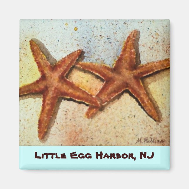 starfish, Little Egg Harbour, aimant NJ (Devant)