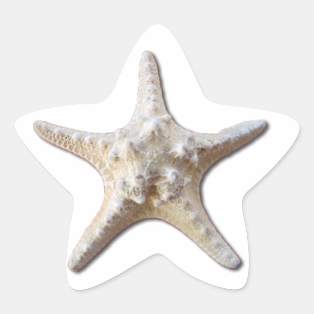 Starfish STicker - blanc (Devant)