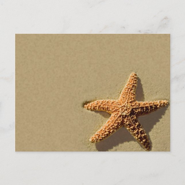 Starfish Tropical Event Plage Mariage Invitation (Devant)