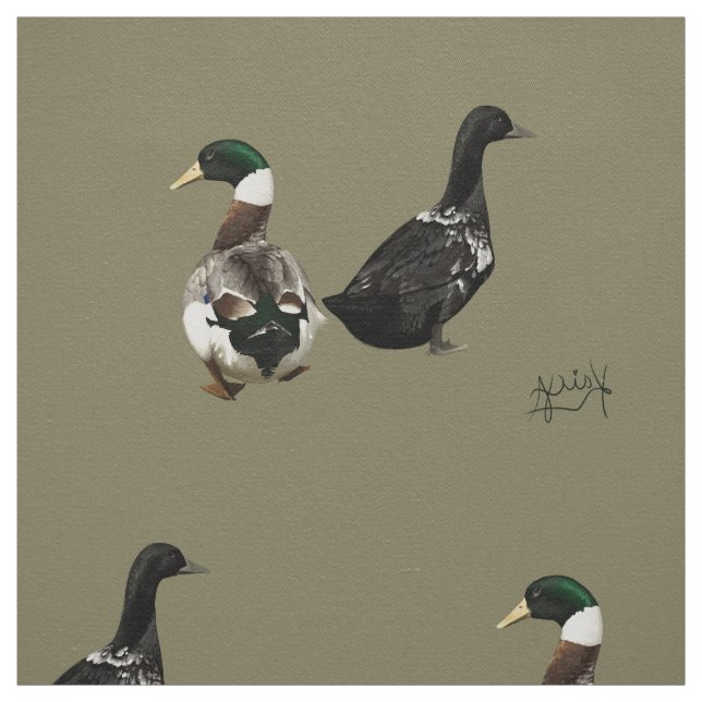 Stargazer draet son tissu de canard Lady (Échantillon)