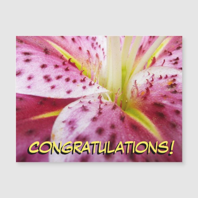 Stargazer Lily brillant Magenta Floral (Devant)