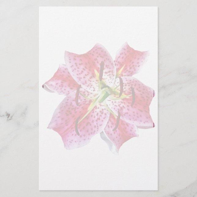 Stargazer Lily Closeup (Devant)