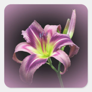 Starman's Quest - Sticker Carré diurne