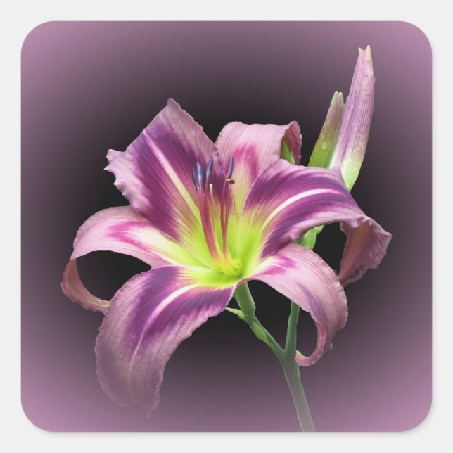 Starman's Quest - Sticker Carré diurne (Devant)