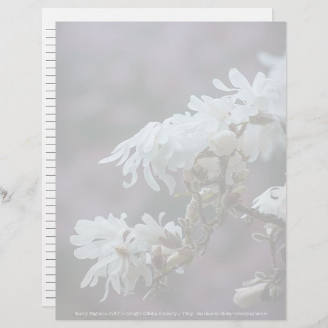 Starry Magnolia (Devant / Derrière)