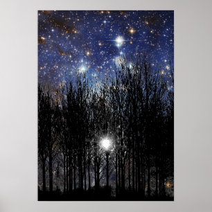 Starscape et arbres - affiche