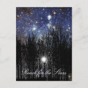 Starscape & Trees : Reach - Carte postale