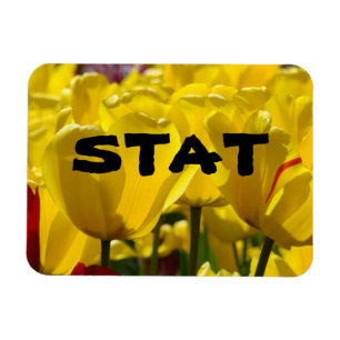 STAT magnets Nursing Medicine Tulip magnet Floral