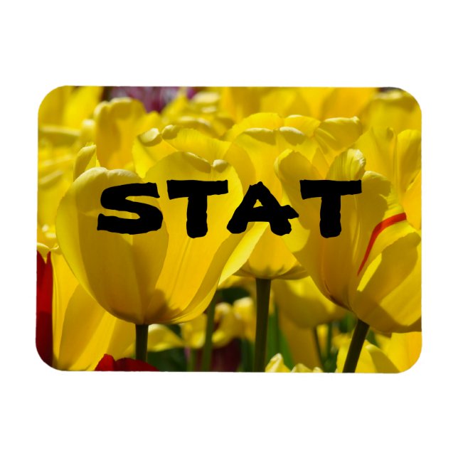 STAT magnets Nursing Medicine Tulip magnet Floral (Horizontal)