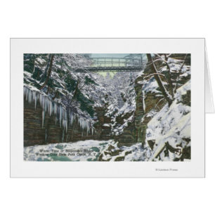 State Park Gorge Suspension Bridge View in