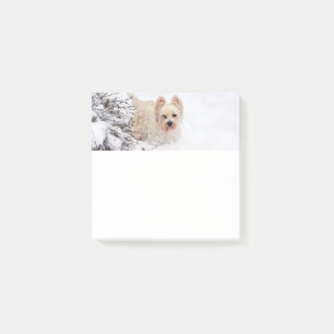 Stationery photo pour chien de neige 3x3 Post-it N