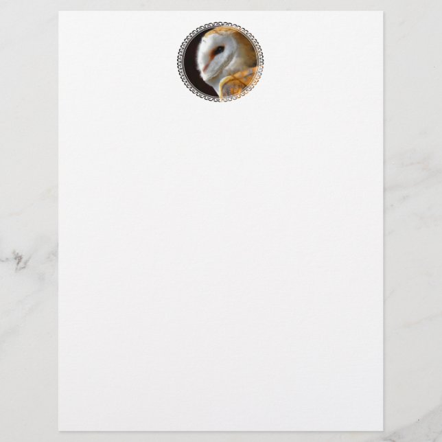 STATIONNAIRE OWLS (Devant)