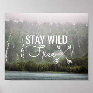 Stay Wild & Free - Cascades en Alaska Poster