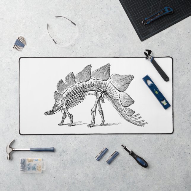 Stegosaurus Dinosaure Squelette Fossile (Poste de travail)