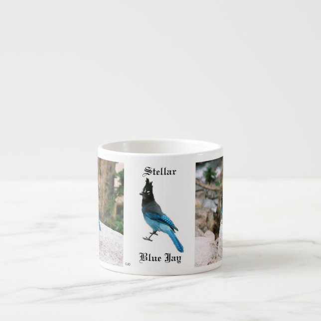 Stellar Blue Jay espresso mug (Devant)