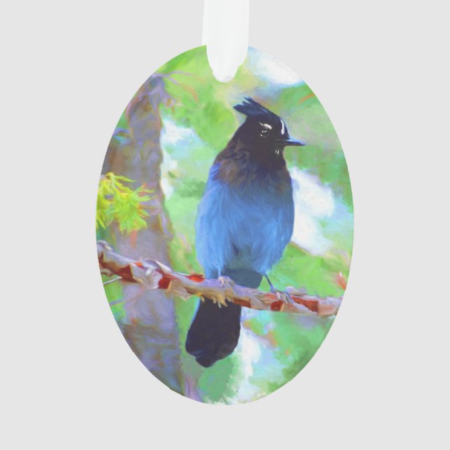 Steller's Jay Painting - Art original pour oiseaux (dos)