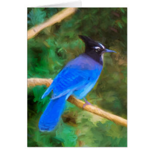 Steller's Jay Painting - Art original pour oiseaux
