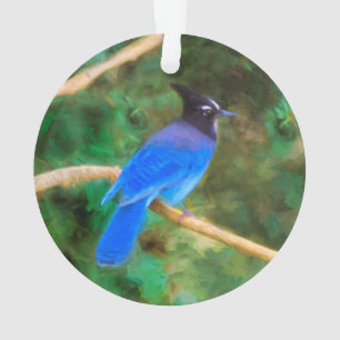 Steller's Jay Painting - Art original pour oiseaux